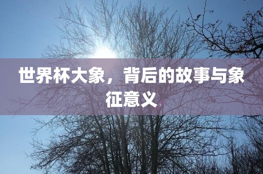 世界杯大象，背后的故事与象征意义漯河市盈旭机械设备有限公司