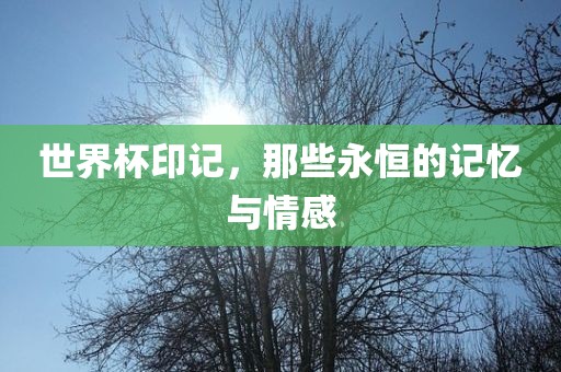 judong 第7页
