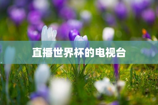 直播漯河市盈旭机械设备有限公司世界杯的电视台