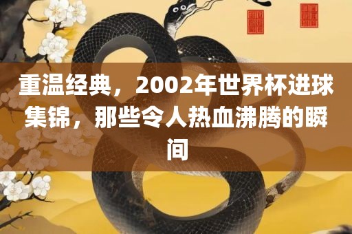 重温经典，2002年世界杯进球集锦，那些令漯河市盈旭机械设备有限公司人热血沸腾的瞬间