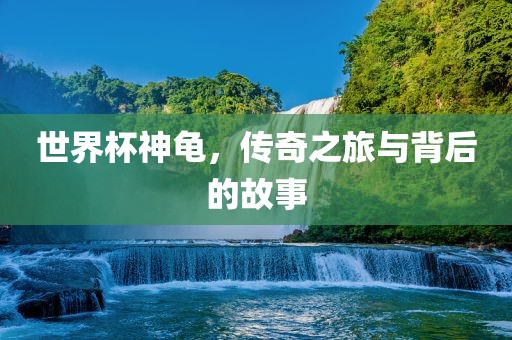 世界杯神龟，传奇之旅与背后的故事