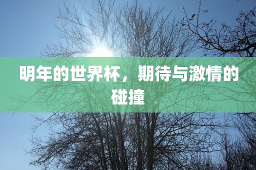 明年的世界杯，期待与激情的碰撞