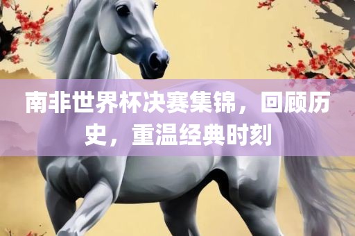 南非世界杯决赛集锦，回顾历史，重温经典时刻