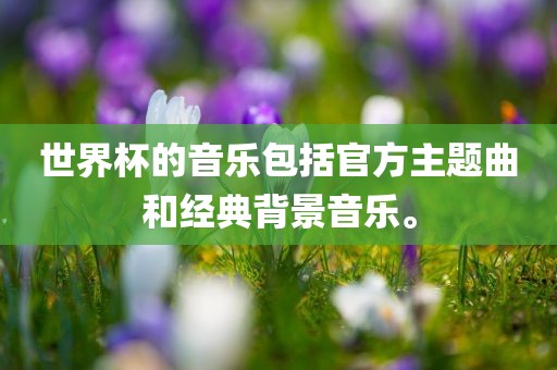 世界杯的音乐包括官方主题曲和经典背景音乐。