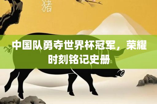 中国队勇夺世界杯冠军，荣耀时刻铭记史册