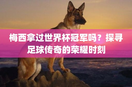 梅西 第4页