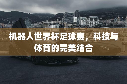 机器人世界杯足球赛，科技与体育的完美结合漯河市盈旭机械设备有限公司