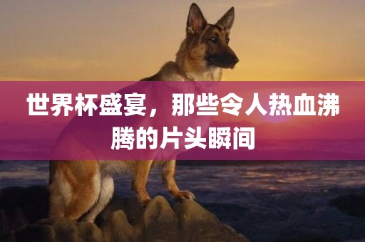 世界杯盛宴，那些令人漯河市盈旭机械设备有限公司热血沸腾的片头瞬间