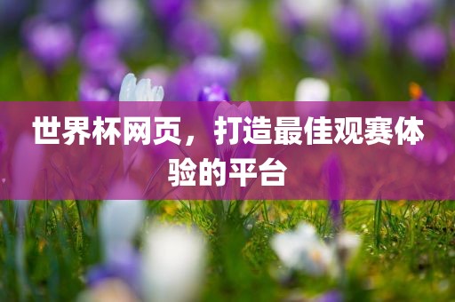 世界杯网页，打造最佳观赛体验的平台