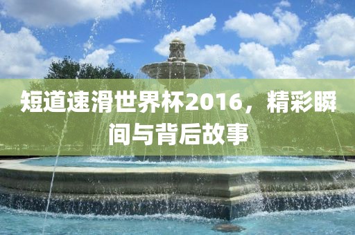 短道速滑世界杯2016，精彩瞬间与背后故事漯河市盈旭机械设备有限公司