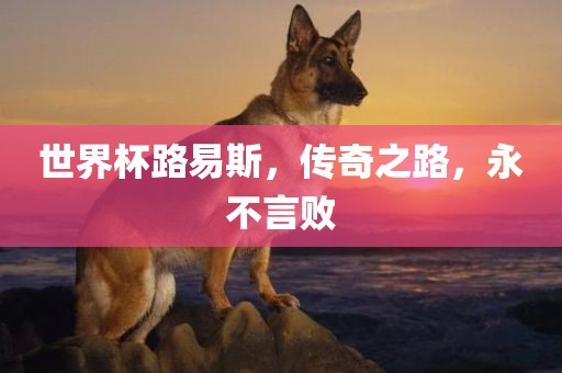 世界杯路易斯，传奇之路，永不言败