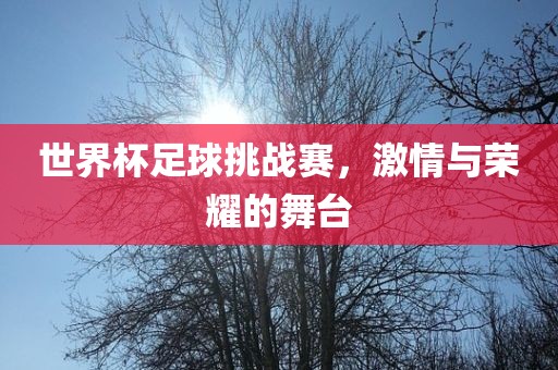 世界杯足球挑战赛，激情与荣耀的舞台
