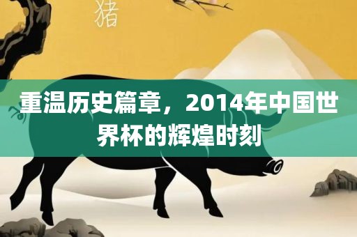 重温历史篇章，2014年中国世界杯的辉煌时刻