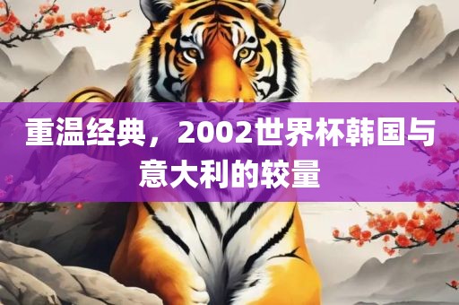 重温经典，2002世界杯韩国与意大利的较量漯河市盈旭机械设备有限公司