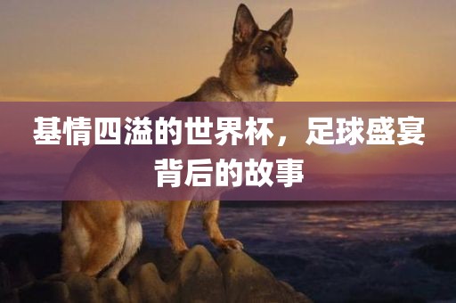 基情四溢的世界杯，足球盛宴背后的故事漯河市盈旭机械设备有限公司
