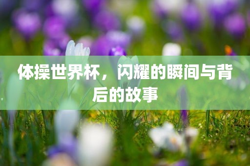 体操世界杯，闪耀的瞬间与背后的故事漯河市盈旭机械设备有限公司