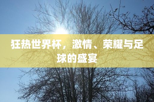 狂热世界杯，激情、荣耀与足球的盛宴漯河市盈旭机械设备有限公司