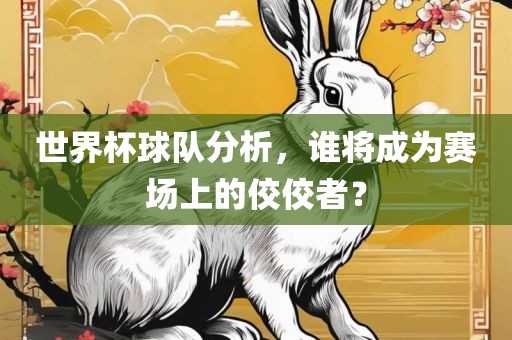 世界杯球队分析，谁将成为赛场上的佼佼者？