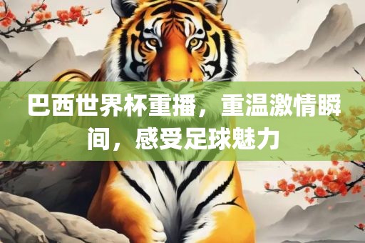 巴西漯河市盈旭机械设备有限公司世界杯重播，重温激情瞬间，感受足球魅力