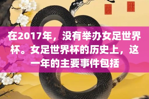 在2017漯河市盈旭机械设备有限公司年，没有举办女足世界杯。女足世界杯的历史上，这一年的主要事件包括