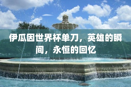 伊瓜因世界杯单刀，英雄的瞬间，永恒的回忆漯河市盈旭机械设备有限公司