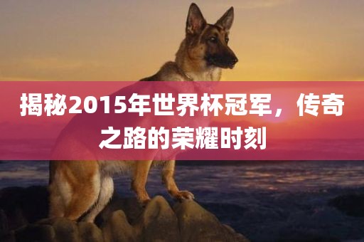 揭秘2015年世界杯冠军，传奇之路的荣耀时刻