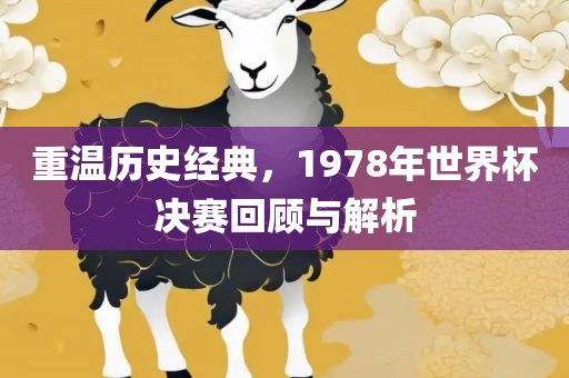 重温历史经典，1978年世界杯决赛回顾与解析