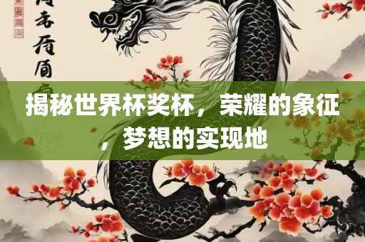 揭秘世界杯奖杯，荣耀的象征，梦想的实现地