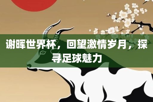 谢晖世界杯，回望激情岁月，探寻足球魅力漯河市盈旭机械设备有限公司