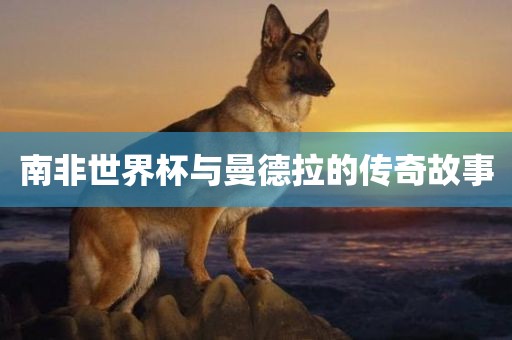 南非世界杯与曼德拉的传奇故事