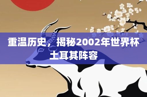重温历史，揭秘2002年世界杯土耳其阵容