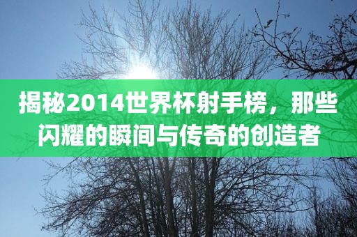 揭秘2014世界杯射手榜，那些闪耀的瞬间与传奇的创造者