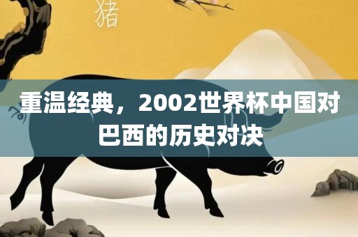 重温经典，2002世界杯中国对巴西的历史对决