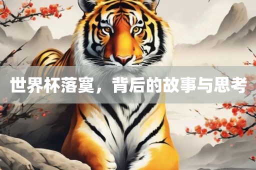 世界杯落寞，背后的故事与思考漯河市盈旭机械设备有限公司