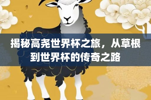 揭秘高尧世界杯之旅，从草根到世界杯的传奇之路