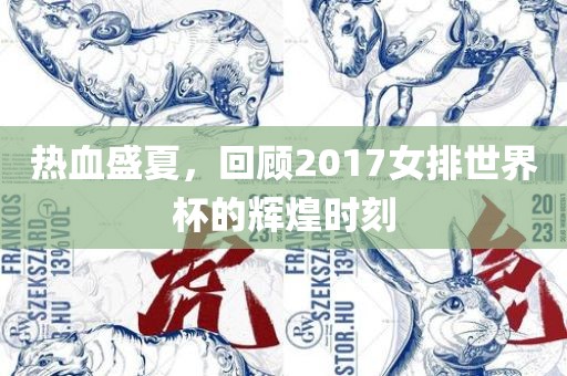 热血盛夏，回顾2017女排世界杯的辉煌时刻