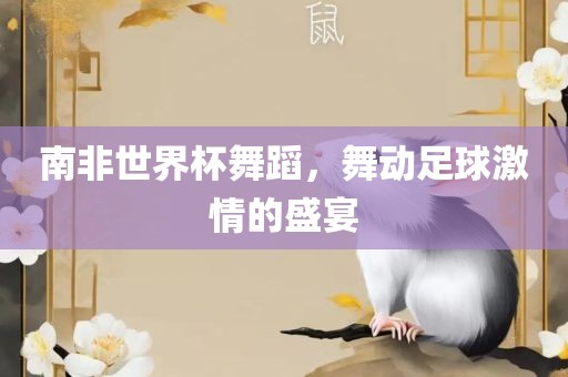 南非世界杯舞蹈，舞动足球激情的盛宴