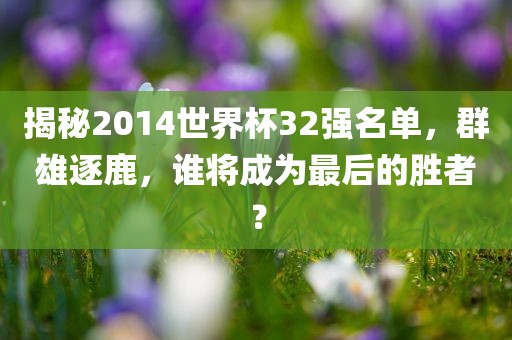 揭秘2014世界杯32强名单，群雄逐鹿，谁将成为最后的胜者？