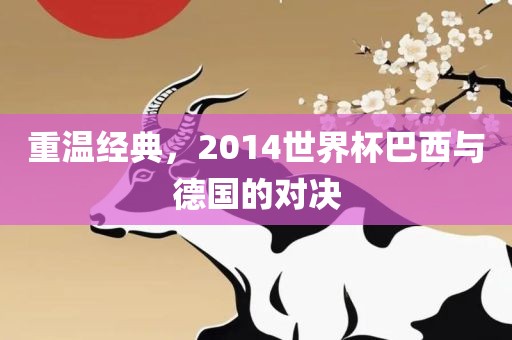 重温经典，2014世界杯巴西与德国的对决漯河市盈旭机械设备有限公司