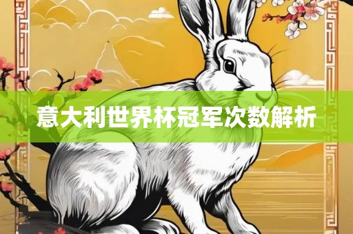 漯河市盈旭机械设备有限公司意大利世界杯冠军次数解析