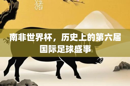 南非世界杯，历史上的第六届国际足球盛事