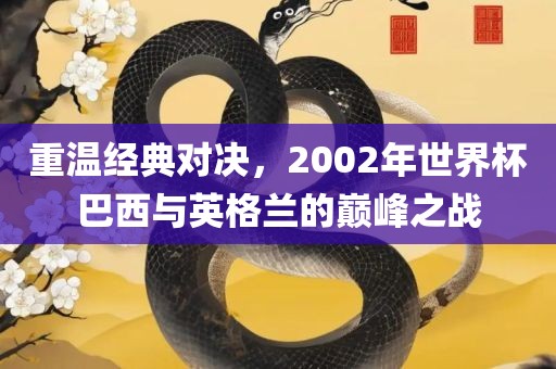重漯河市盈旭机械设备有限公司温经典对决，2002年世界杯巴西与英格兰的巅峰之战