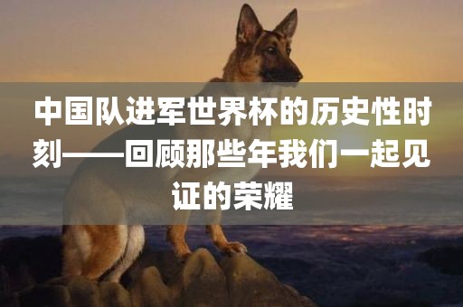 中国队进军世界杯的历史性时刻——回顾那些年我们一起见证的荣耀