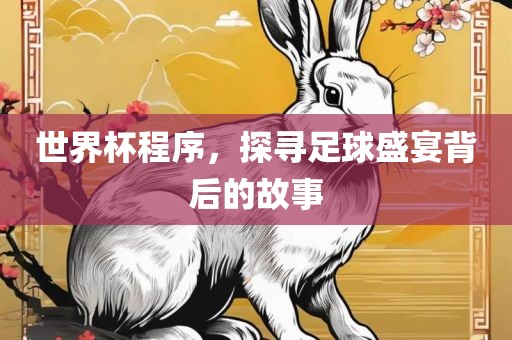 世界杯程序，探寻足球盛宴背后的故事