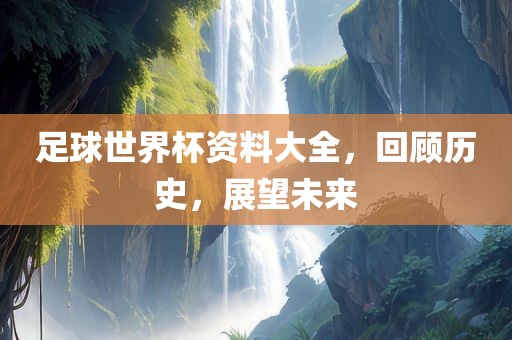 足球世界杯 第5页