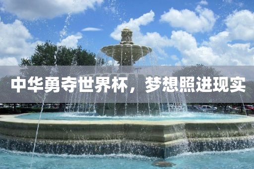 中华勇夺世界杯，梦想照进现实