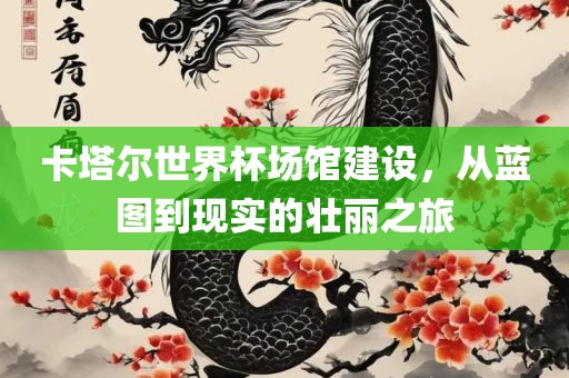 卡塔尔世界杯场馆建设，从蓝图到现实的壮丽之旅漯河市盈旭机械设备有限公司