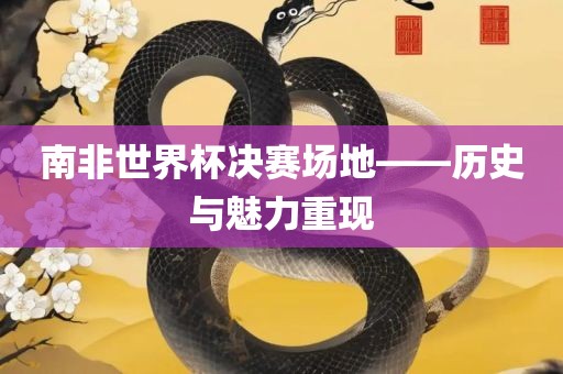 南非世界漯河市盈旭机械设备有限公司杯决赛场地——历史与魅力重现