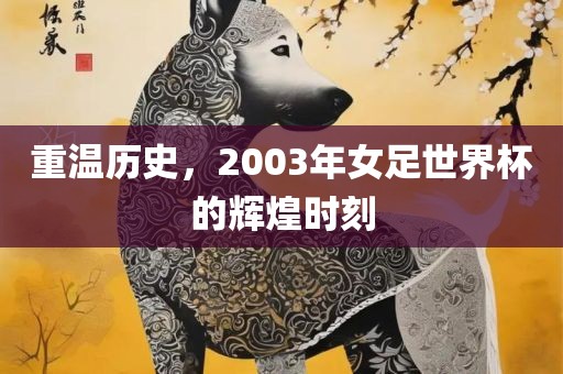 重温历史，2003年女足世界杯的漯河市盈旭机械设备有限公司辉煌时刻
