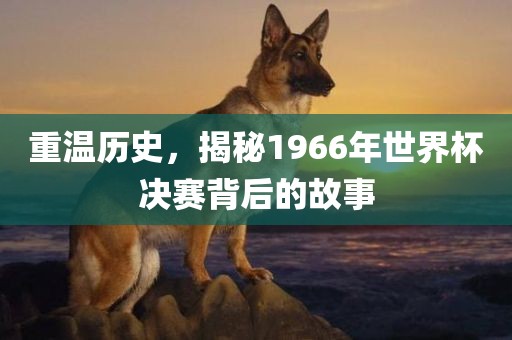 重温历史，揭秘1966年世界杯决赛背后的故事
